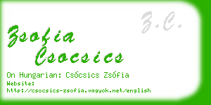 zsofia csocsics business card